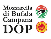 mozz ad 2